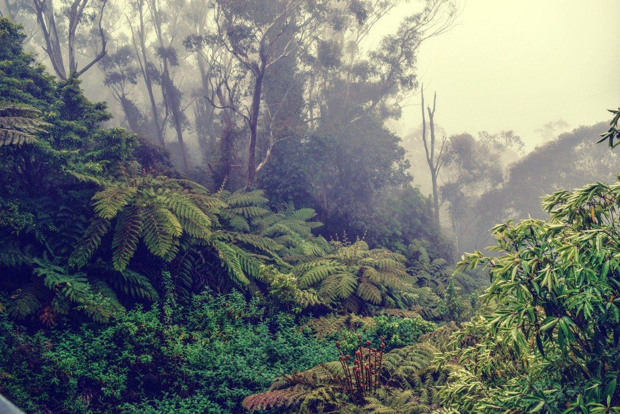 3. 安吉竹业城地图