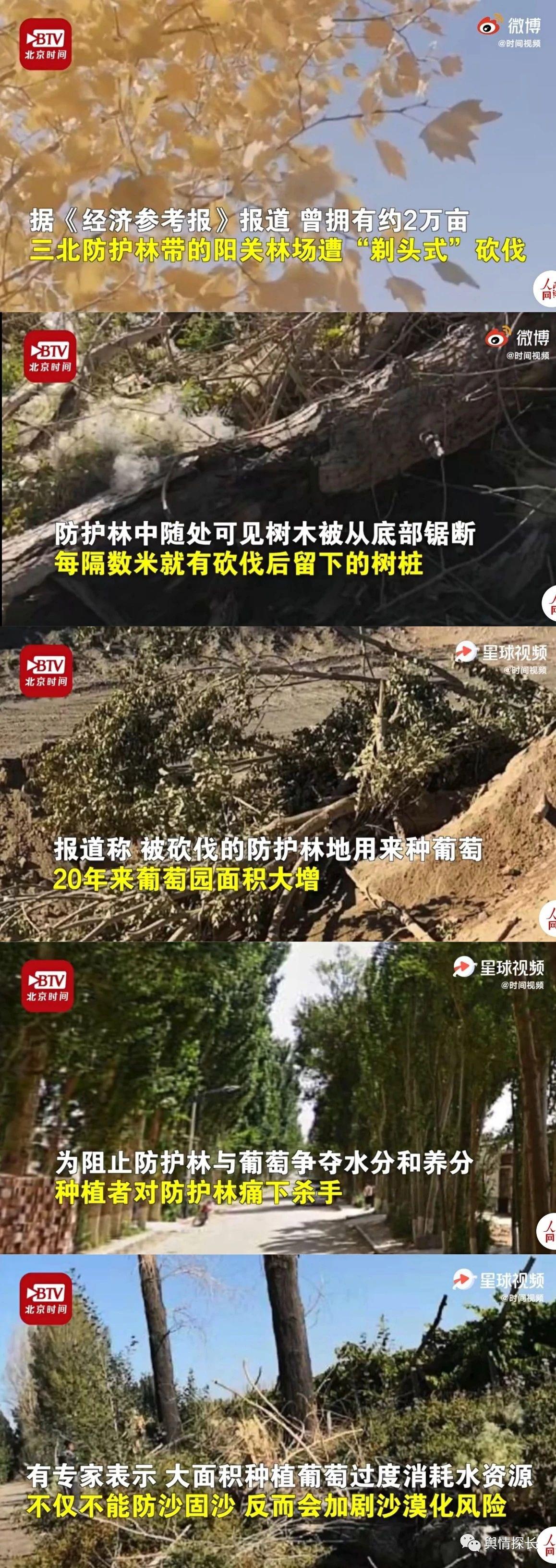 甘肃矿区法院幕后主使是谁丨甘肃敦煌阳关毁林案