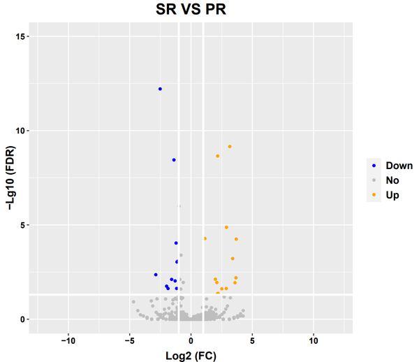 Rna seq 