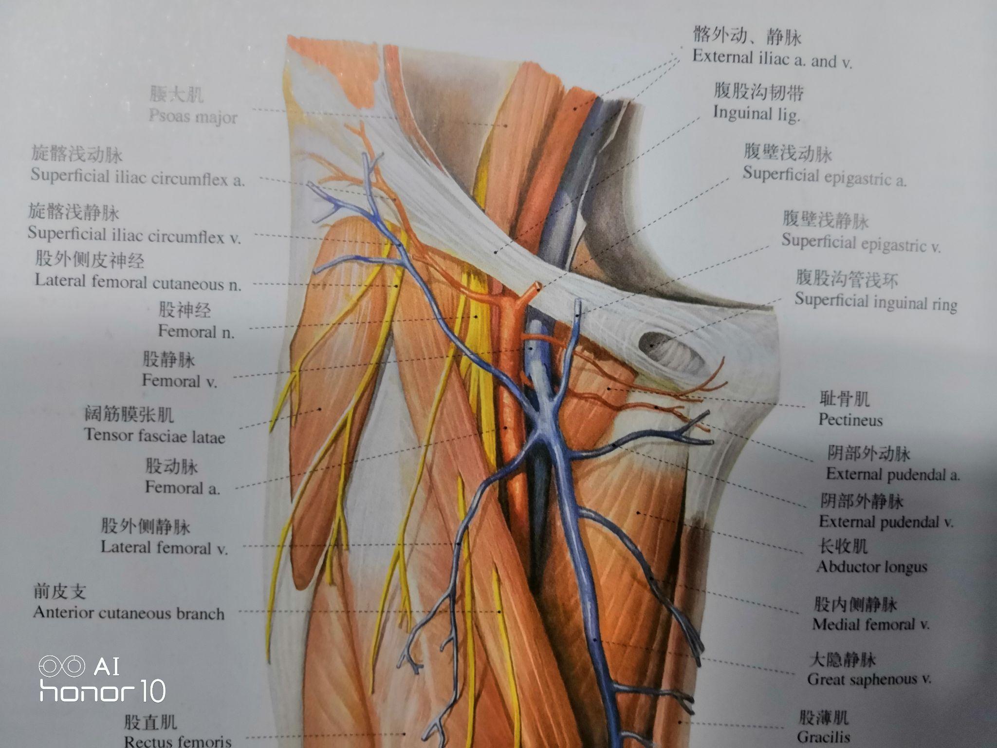 常年接触异性生殖器官的医生会对性麻木吗?