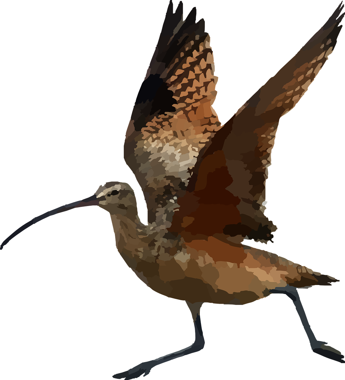 1. 深度空间拓展