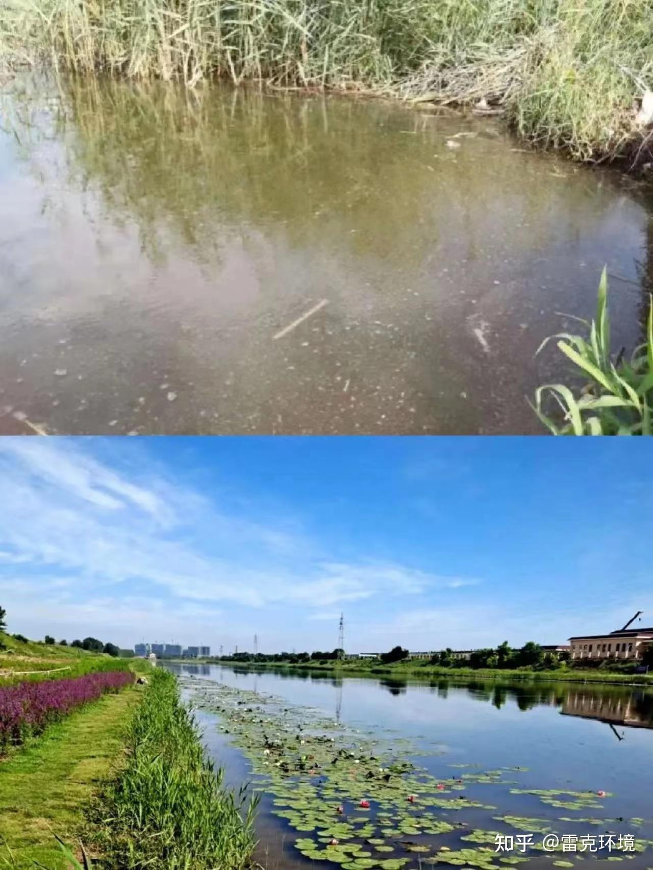 为什么要开展农村黑臭水体整治? - 知乎