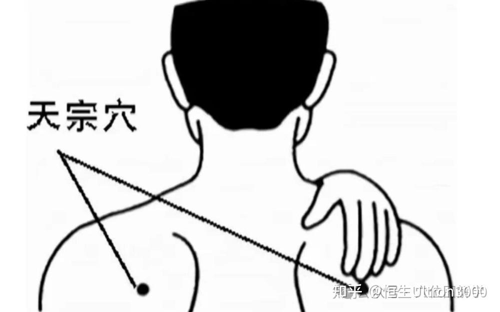 一天一个保健穴位:天宗穴 - 知乎