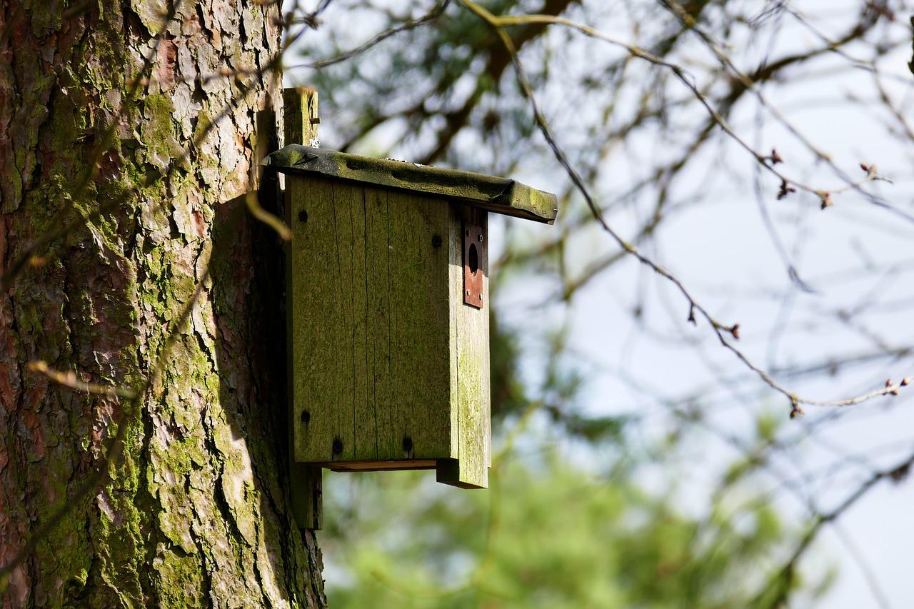 3. 鱼卵护理要点
