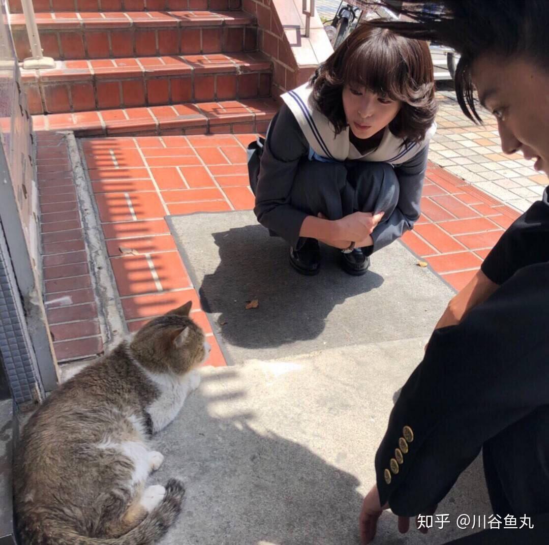 日剧《我是大哥大》中三桥和理子的互相傲娇,你怎么看? - 知乎