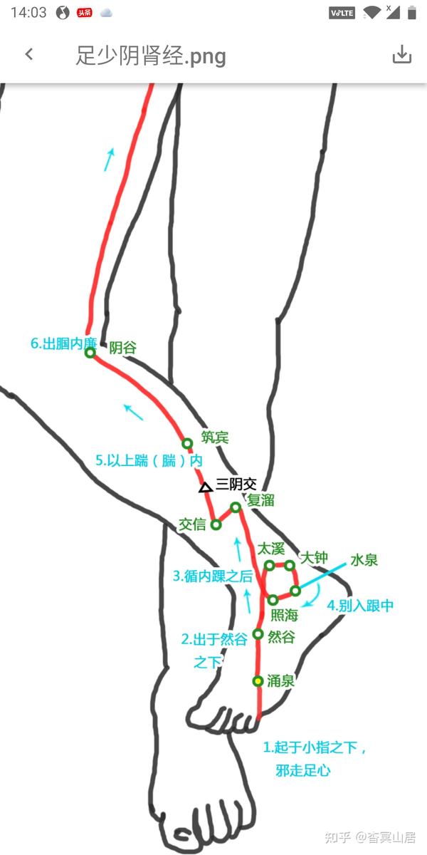 足三阴三阳经络循行及腧穴应用小考 - 知乎