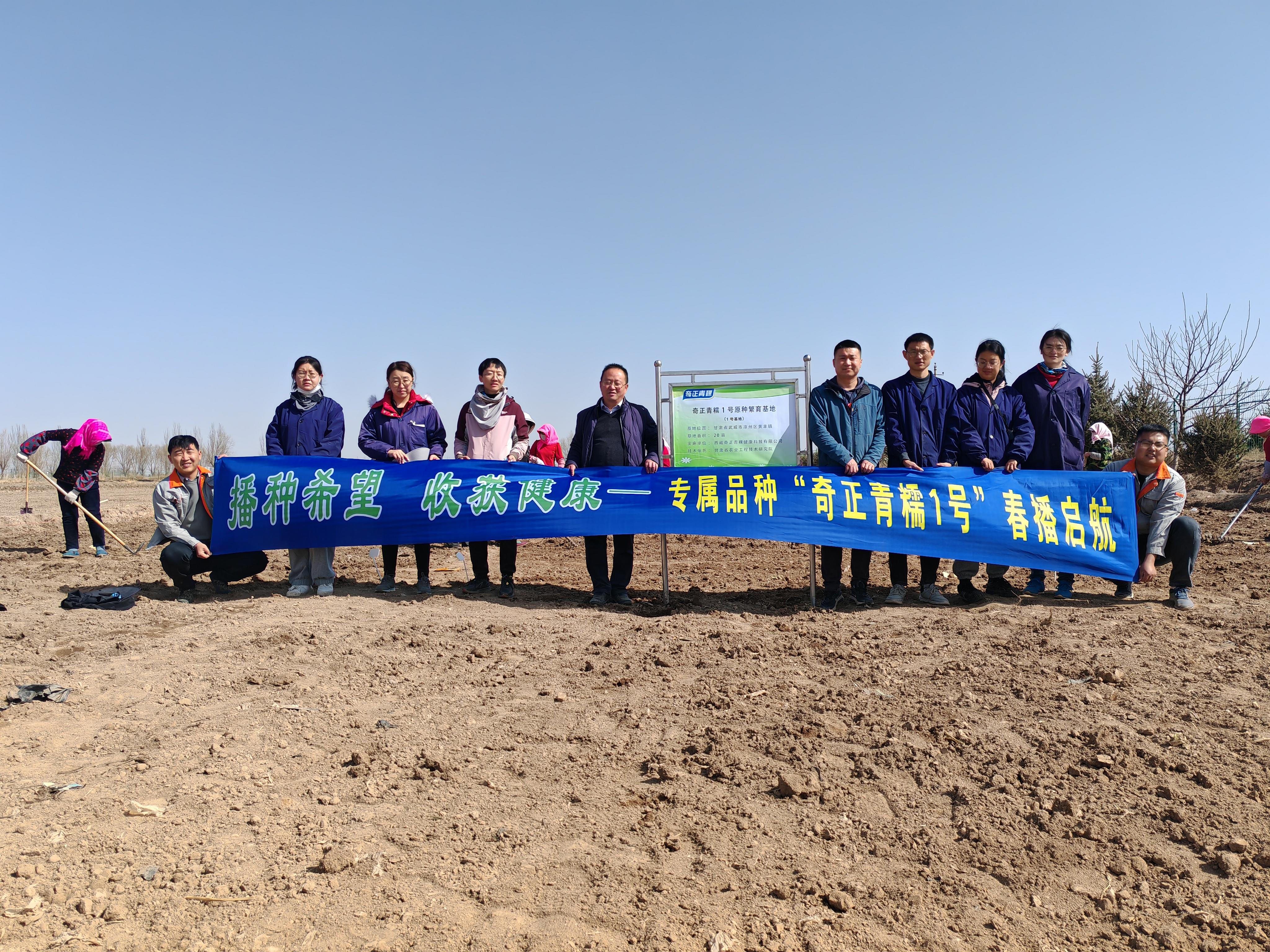 奇正青糯1号春播启航