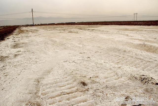 挖上一个淋硝池或者准备一口破锅,破缸片之类的,把硝土倒进锅里压实