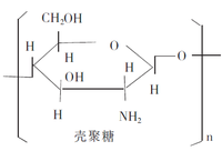 殼聚糖