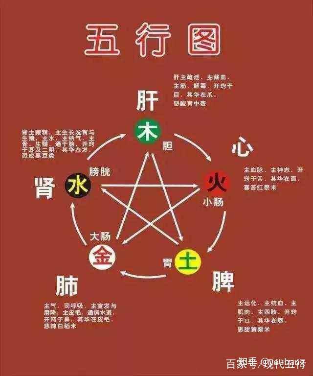 生命科学与五行学说