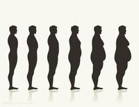 陈根不同的肥胖不同的健康肥胖并不简单