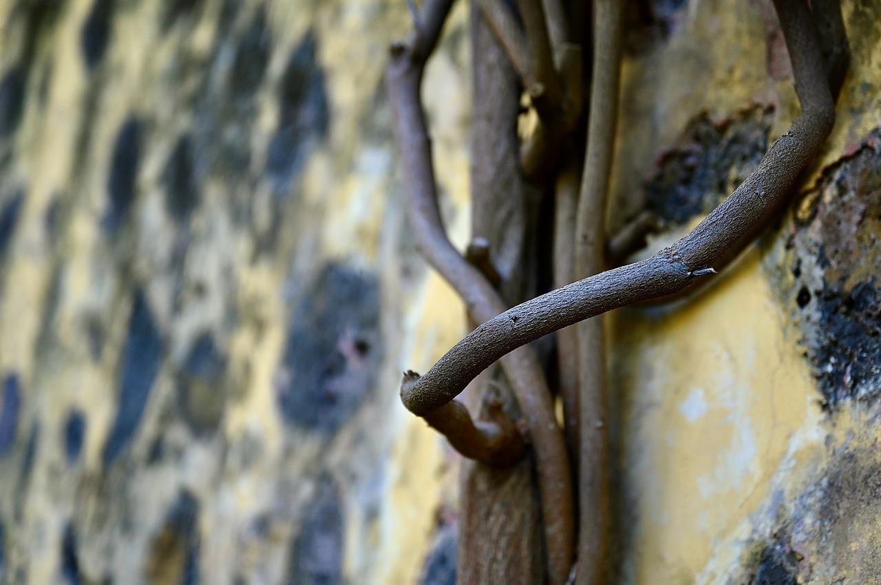 如何辨别翻新墙面？