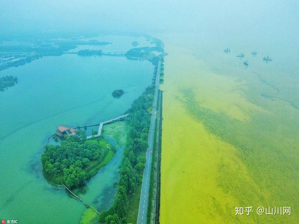 太湖治理十年:蓝藻依旧泛滥,苏南模式的绿色阴影 - 知乎