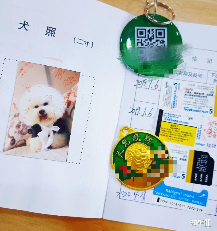 新出台动物防疫法中规定的遛狗牵绳并佩戴狗牌的牌是什么? - 知乎