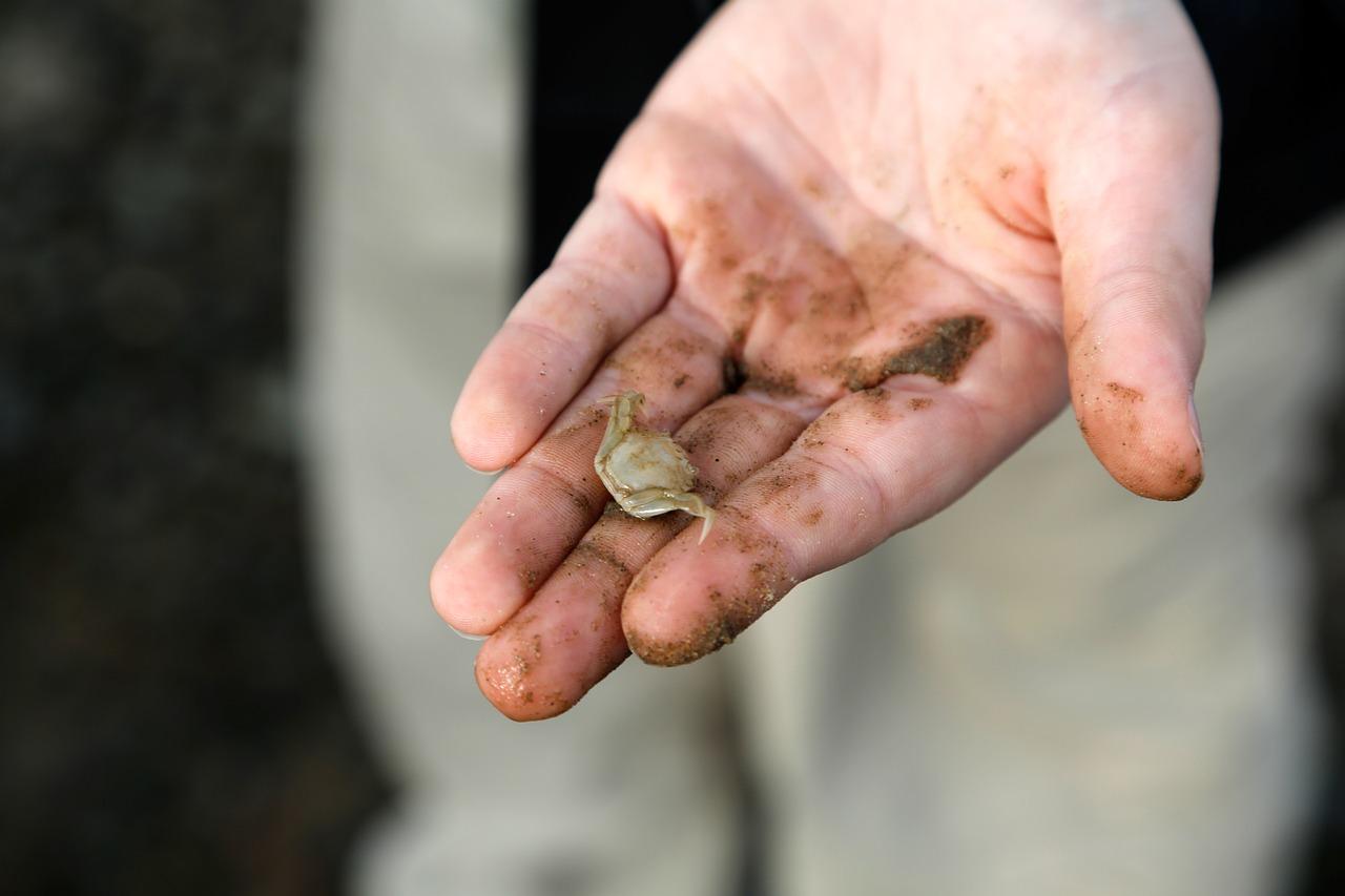 3. 博螯交通解析