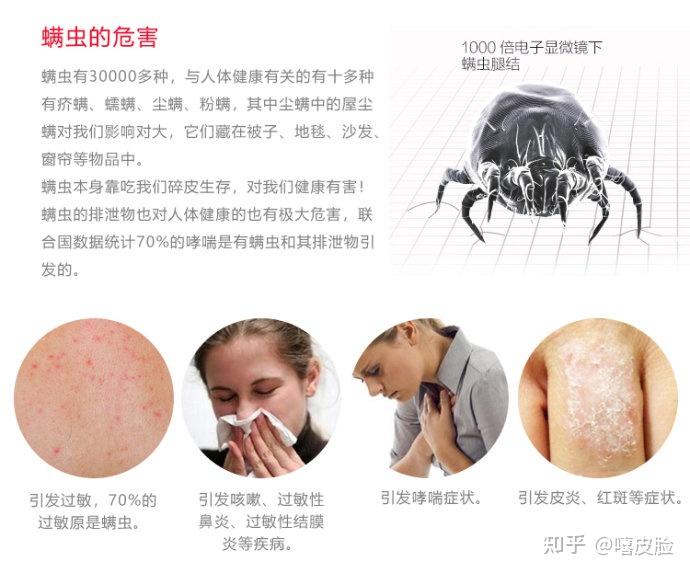 2021效果超好的除螨仪推荐选购指南 | 吸尘器和除螨仪哪个好用?除螨仪值得买吗?公认好用的除螨仪品牌推荐! - 知乎