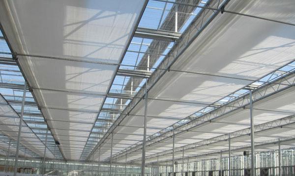 玻璃温室造价解析：构建现代农业科技绿洲的成本考量