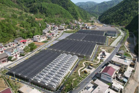 铁丁:“内四外四”是评价农产品区域公用品牌建设成功与否的黄金标准 - 知乎