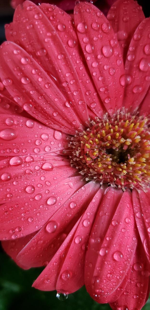 3. 水桶盖掀开步骤