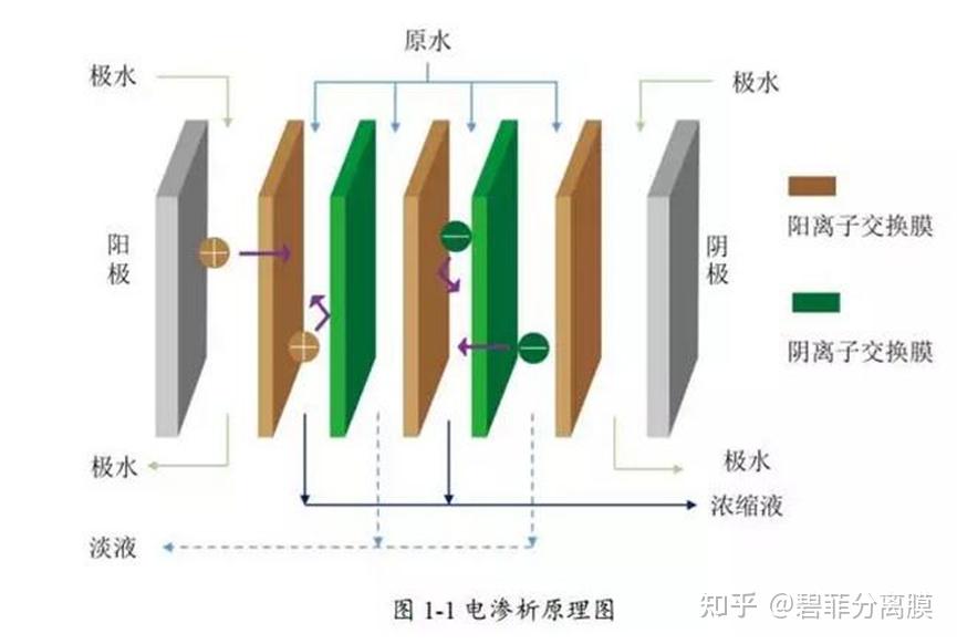 渗析膜的结构 - 知乎