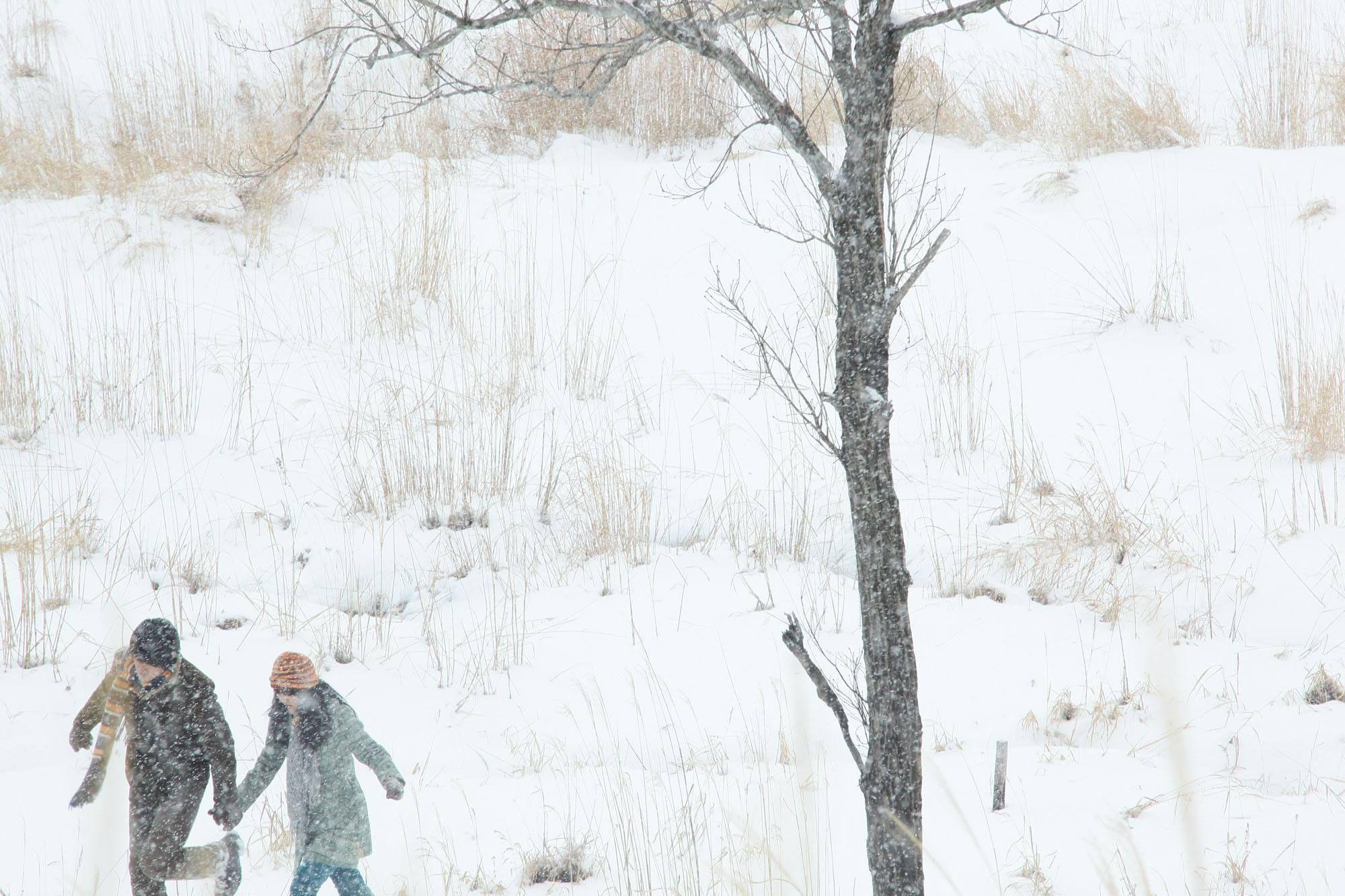 《挪威的森林》剧照图片旁边有一行字"在雪地里只留下我的脚印,真是件