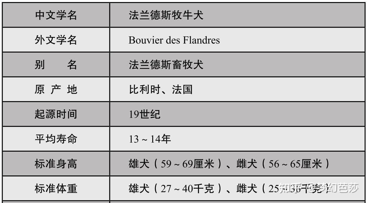 体格宽广和善可亲的法兰德斯牧牛犬 - 知乎