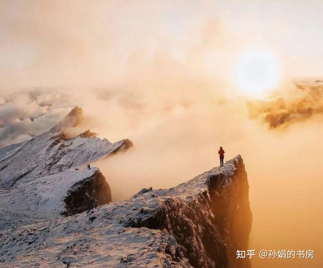 在社会低谷时,个人懂得顺势浮沉,等待变化才是智慧 - 知乎