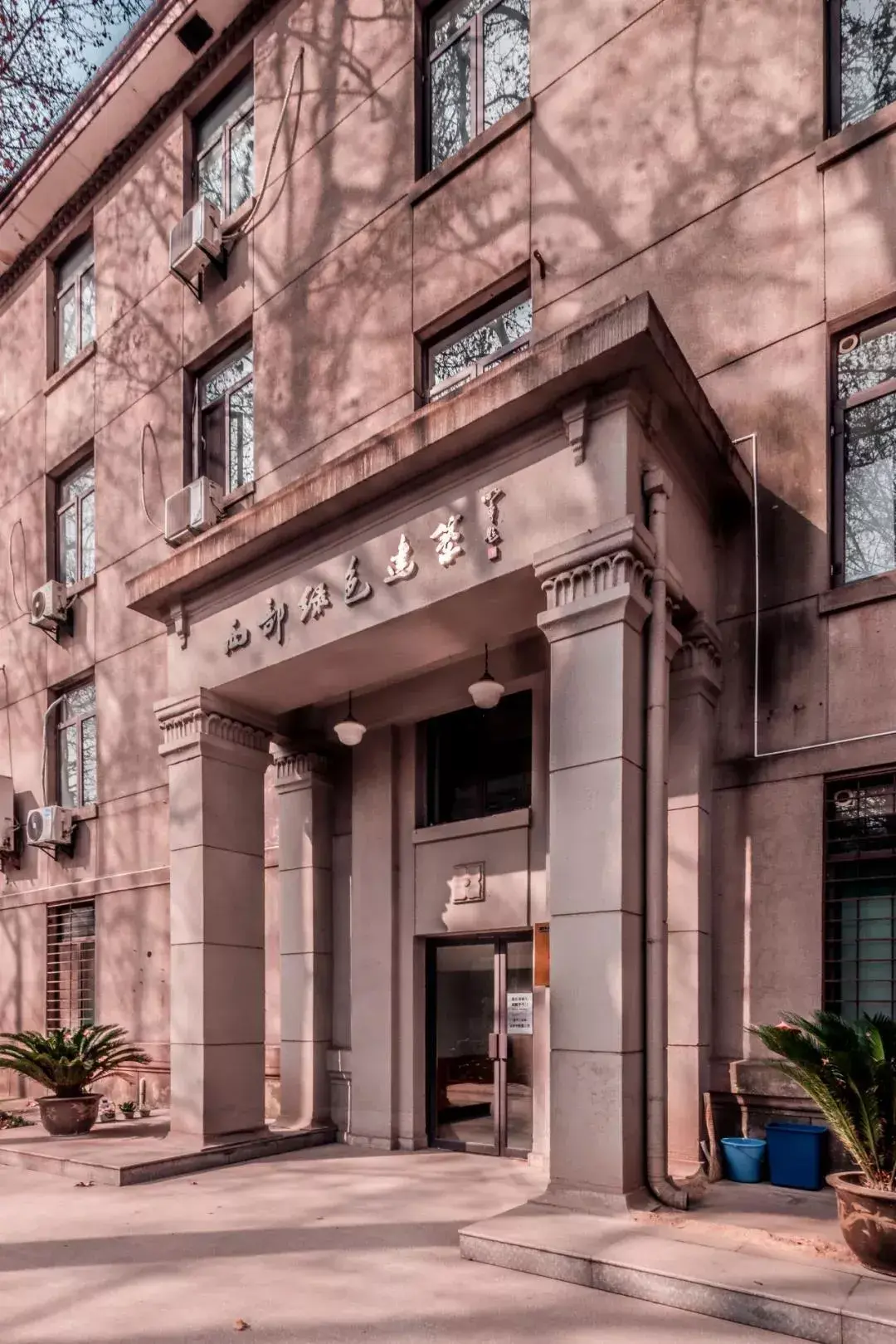 ▎优势平台 蔚然大观