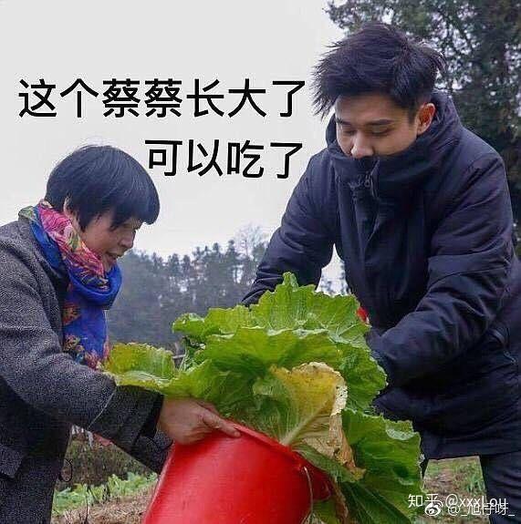 《声入人心》的梅溪湖三十六子之间都有哪些沙雕源泉欢乐表情包和有趣