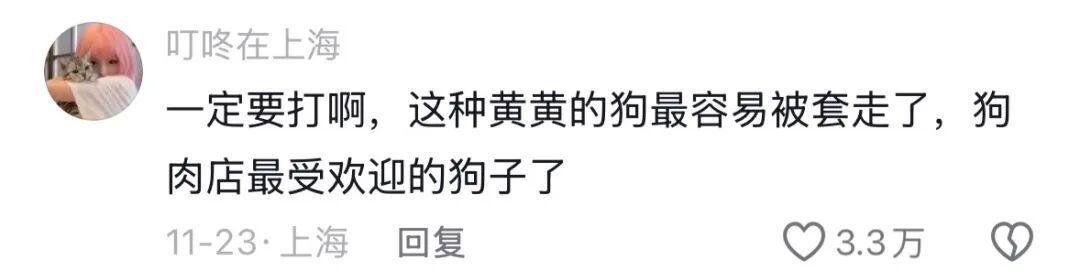 狗狗偷跑出去玩,主人凌晨一点多找到狗后连扇17个巴掌,狗子心虚:我知道错了... - 知乎
