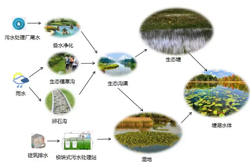 德州：夏津分局开展人工湿地环境效益评价助推生态功能提质增效