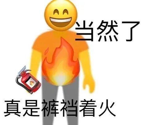 30.裤裆着火——当然了29.蝙蝠身上绑鸡毛——你当自己是个什么鸟28.