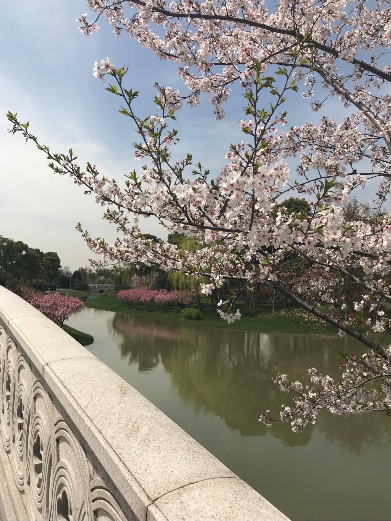 在嘉定区的墓地里面,对于预算比较充足的,我比较推荐的是清竹园