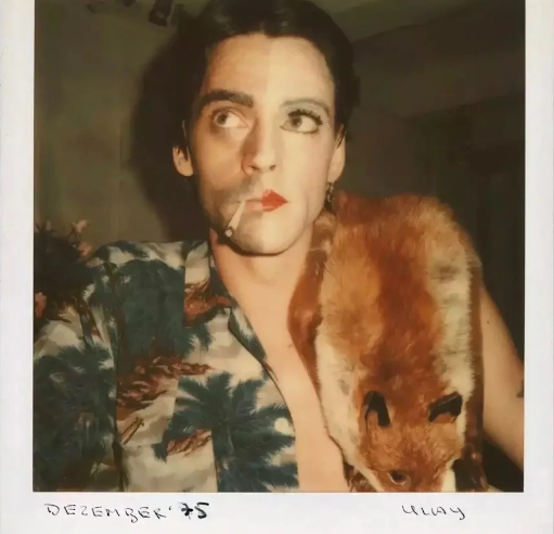 借荣格讨论性性别认同与性吸引力