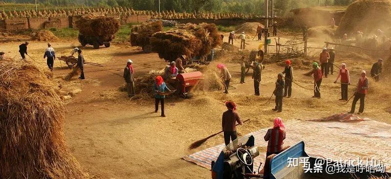 那些回不去的童年时的收麦子场景 - 知乎