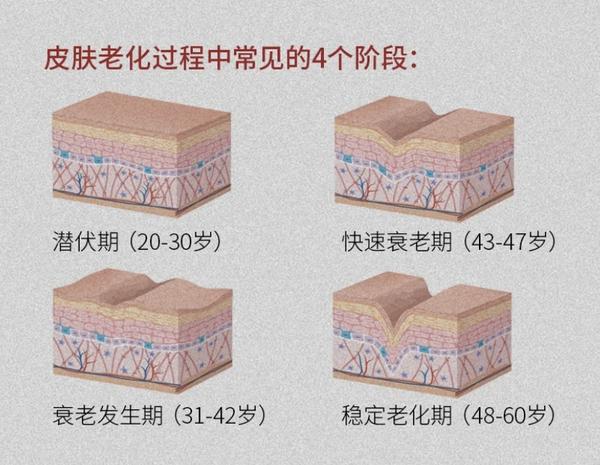 认识肌肤衰老的四个阶段 - 知乎