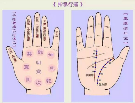 "藏贵纹"手相的女人,必定嫁贵夫,丈夫事业顺通无阻