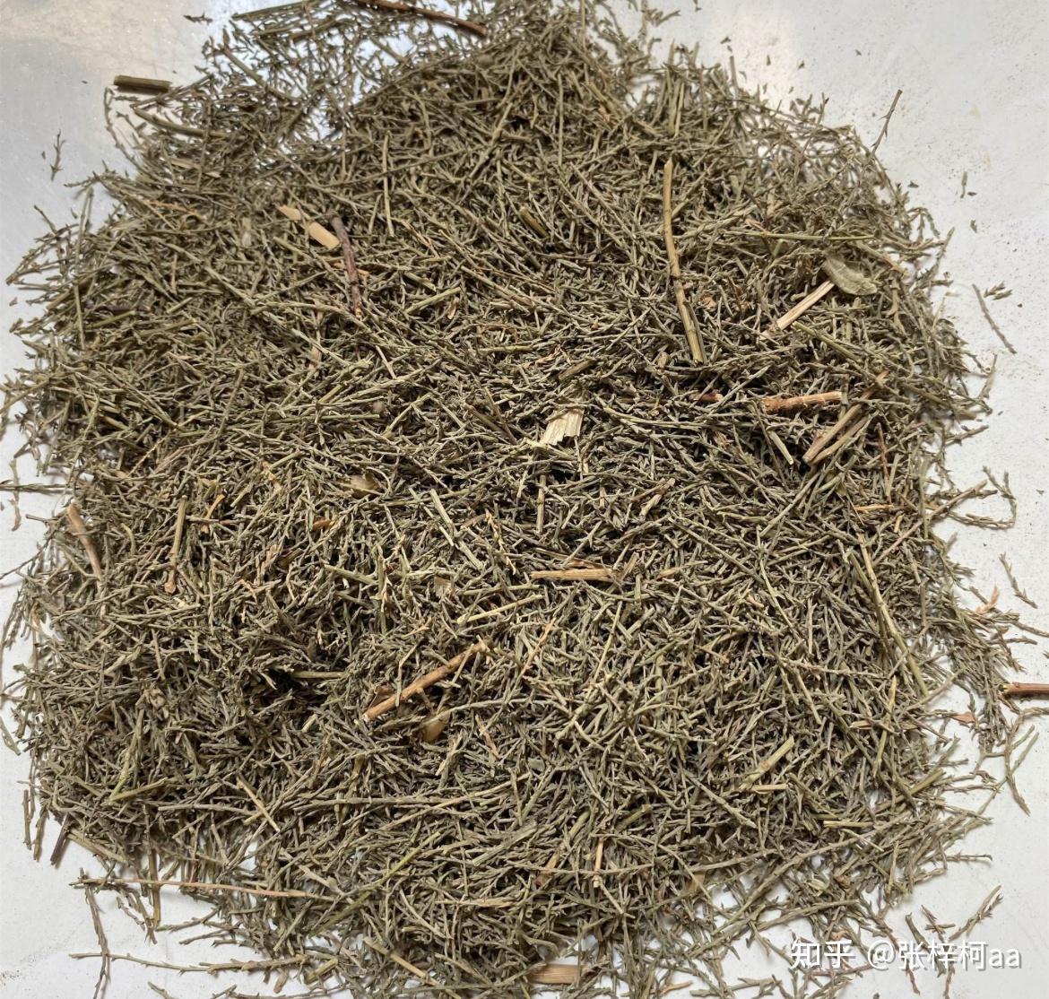 中药学—西河柳