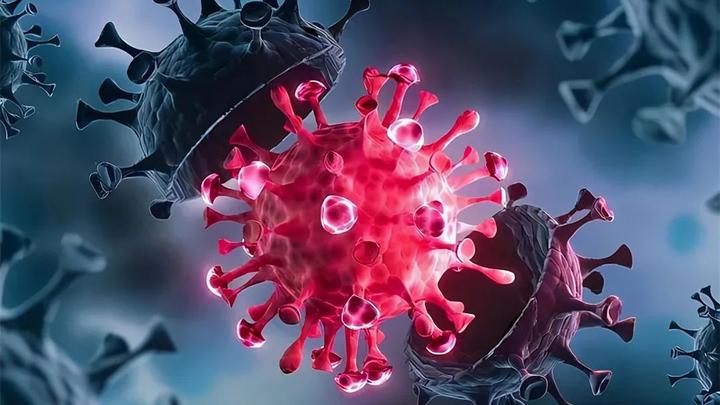 比新冠致命20倍的x疾病可能暴发香港保险能赔吗