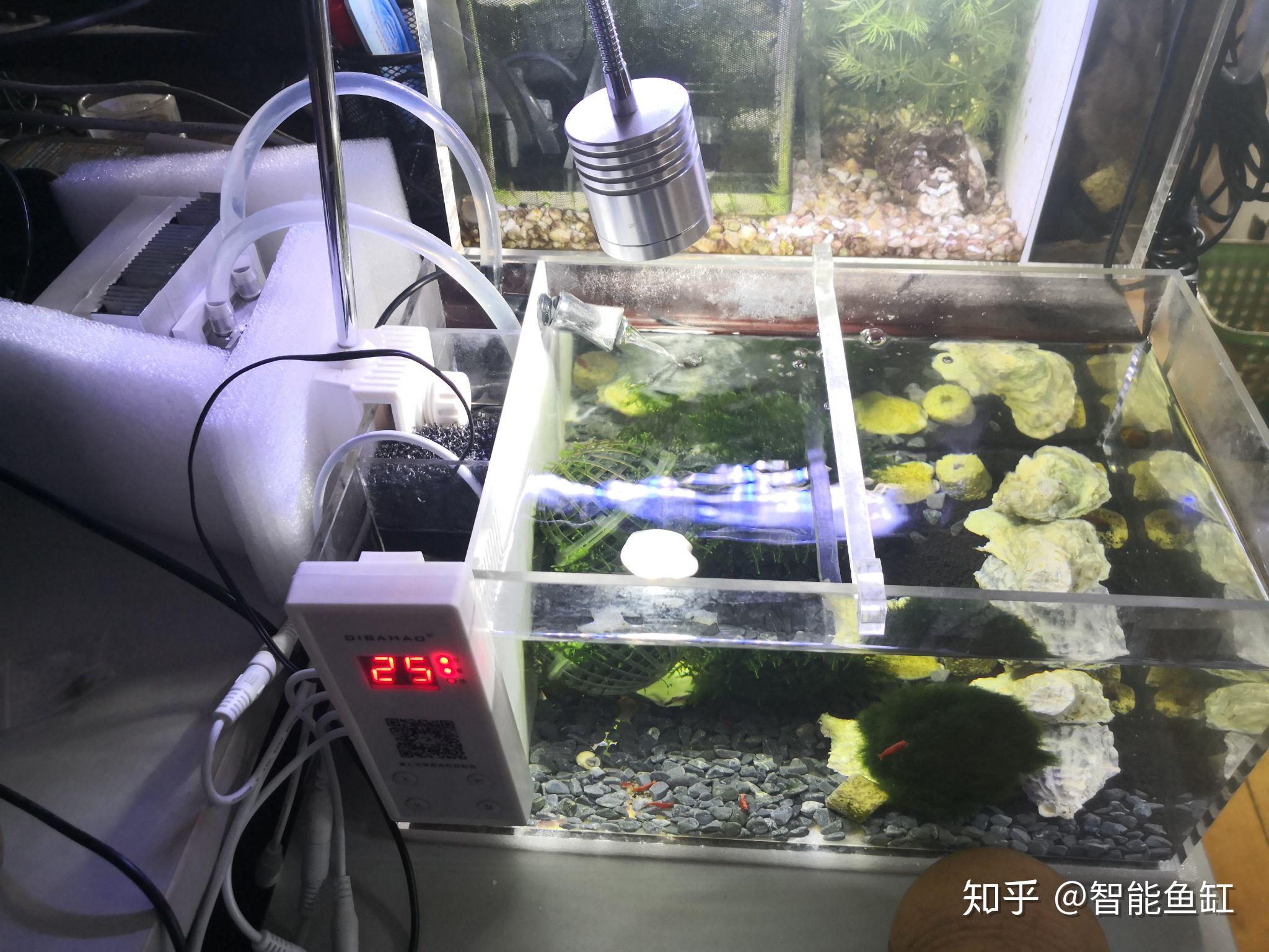 自制鱼缸冷水机图片