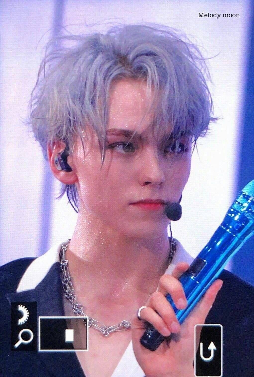 有没有seventeen各个成员的神图