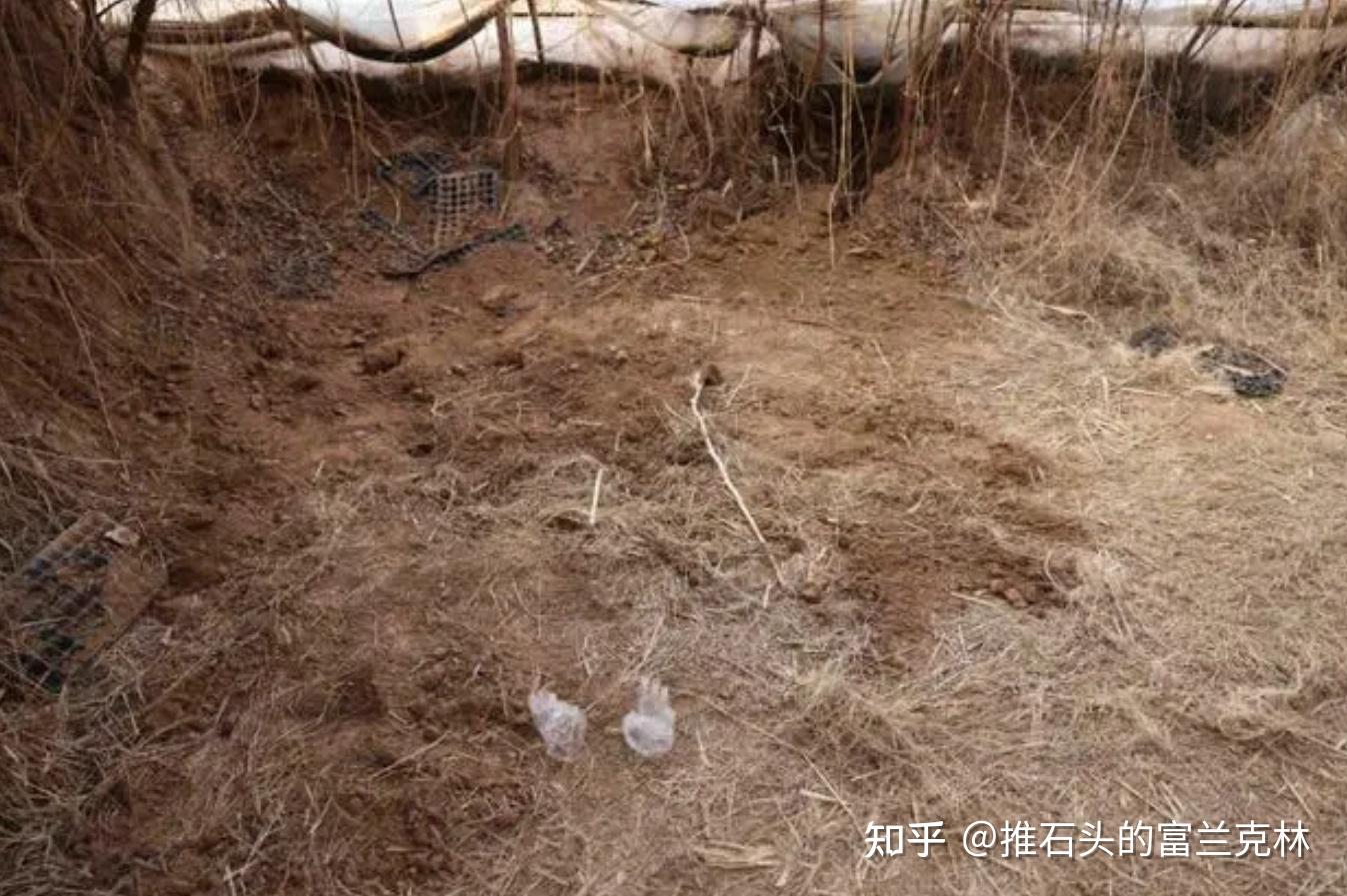 邯郸3名中学生杀人埋尸处死凶手远不能解决问题