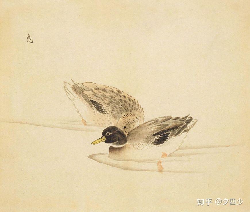 宝玉的这串鹡鸰香念珠是北静王赠的,北静王又是从圣上那里得来的,可知