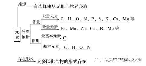 高中生物中出现的元素 离子 反应式相关知识汇总 知乎