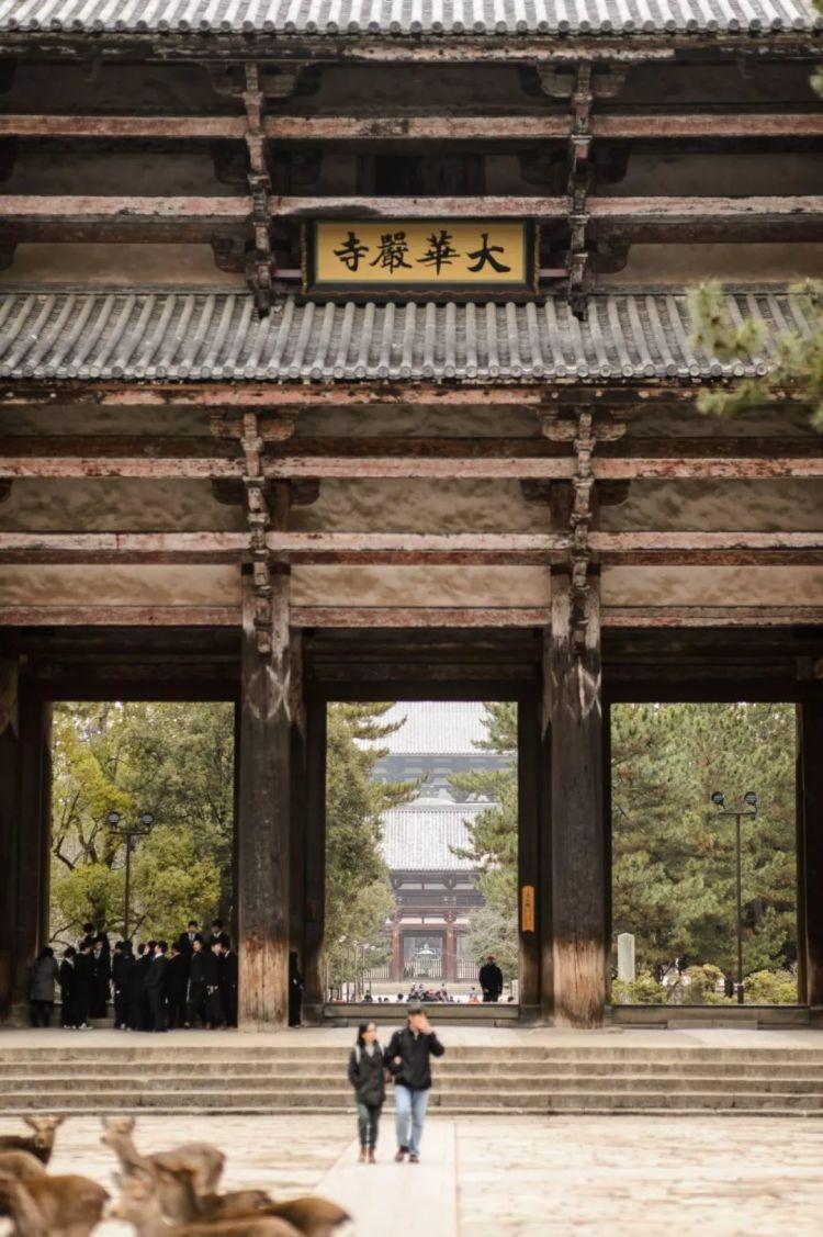 因为那牌匾上分明用繁体汉字写着:大华严寺.