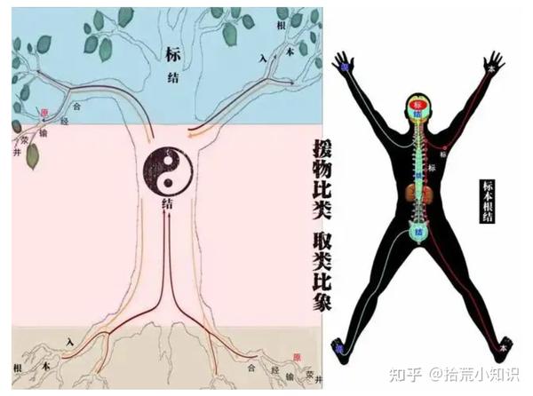 中医学课堂一——中医学的发展史 - 知乎