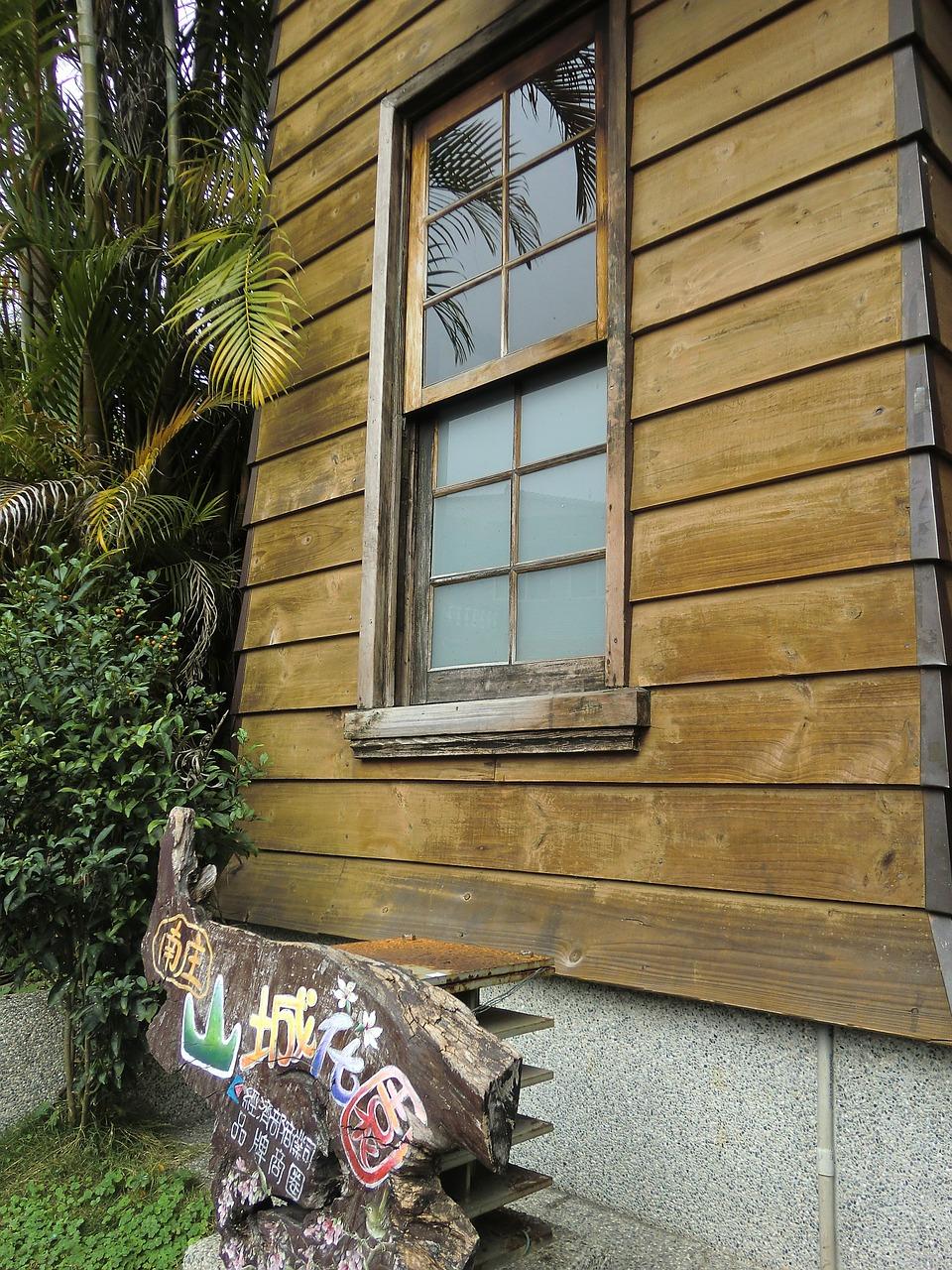 秋树的五彩斑斓