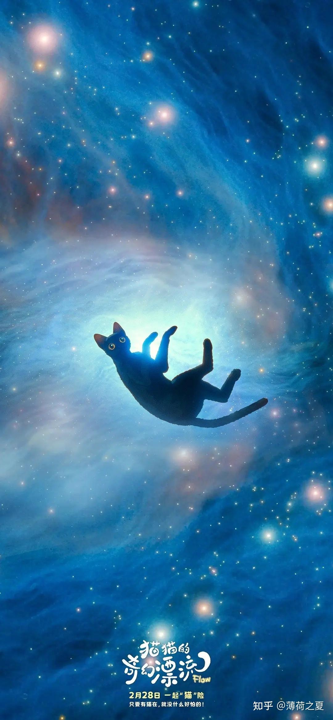 获奥斯卡最佳动画长片奖的电影《猫猫的奇幻漂流》究竟如何？ 知乎
