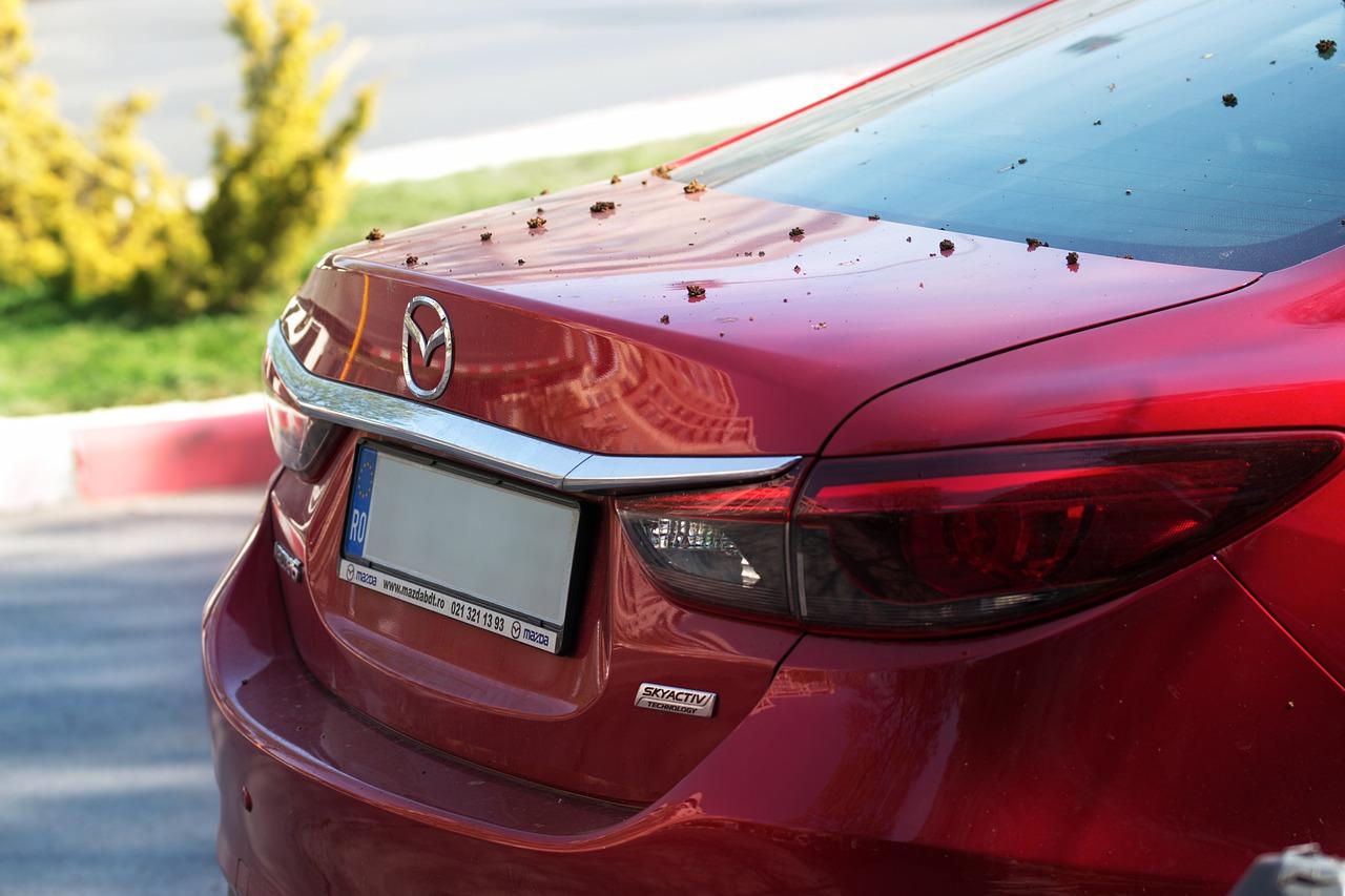 3. 婚车颜色搭配