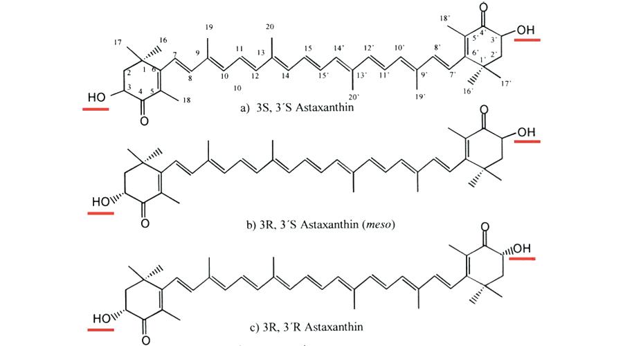 虾青素与雨生红球藻